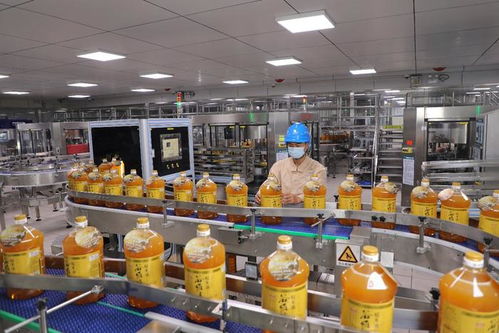 投洽會彰顯中國投資魅力，益海嘉里金龍魚持續深耕中國市場